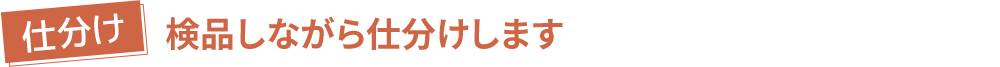 【仕分け】検品しながら仕分けします