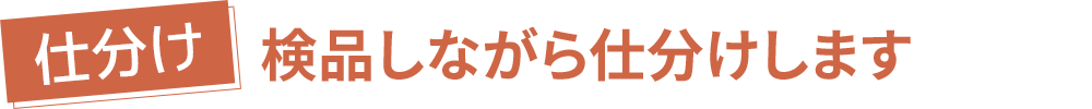 【仕分け】検品しながら仕分けします