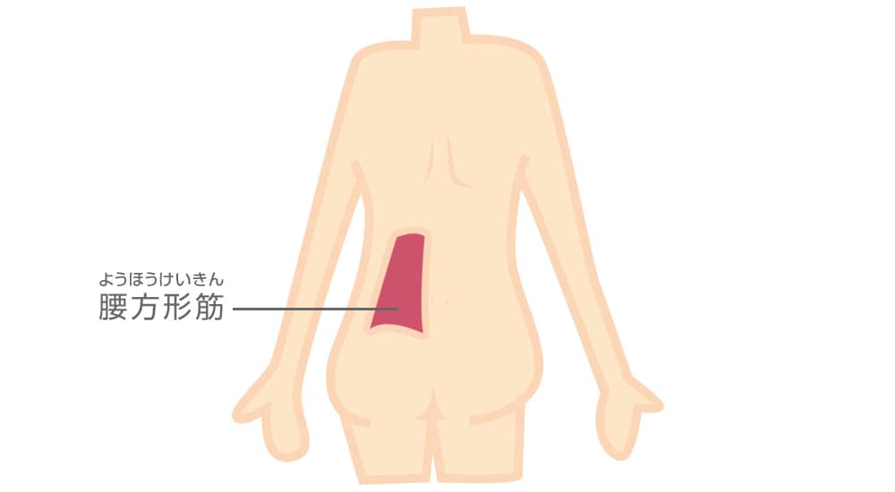 腰方形筋