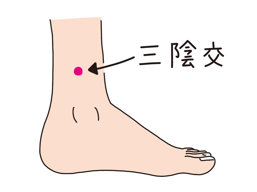 三陰交(さんいんこう)