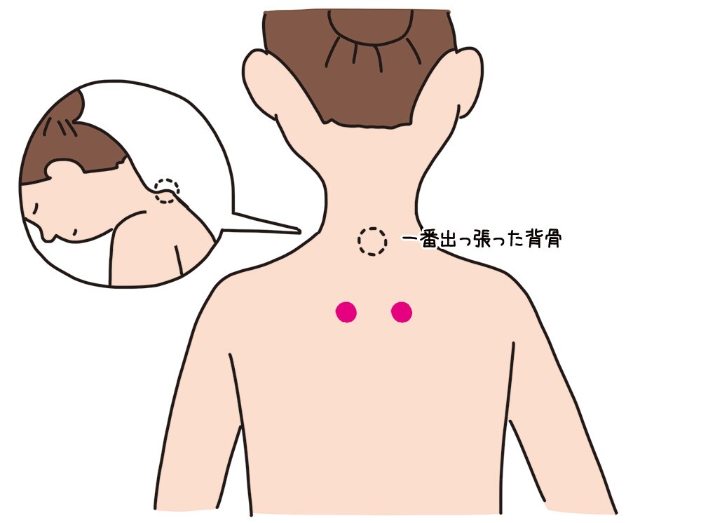 肺兪(はいゆ)