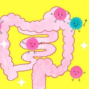 腸むくみ を解消する生活習慣 ワコールボディブック 腸むくみ を解消する生活習慣 ワコールボディブック