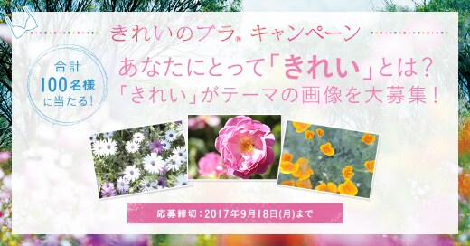 きれいのブラ キャンペーン