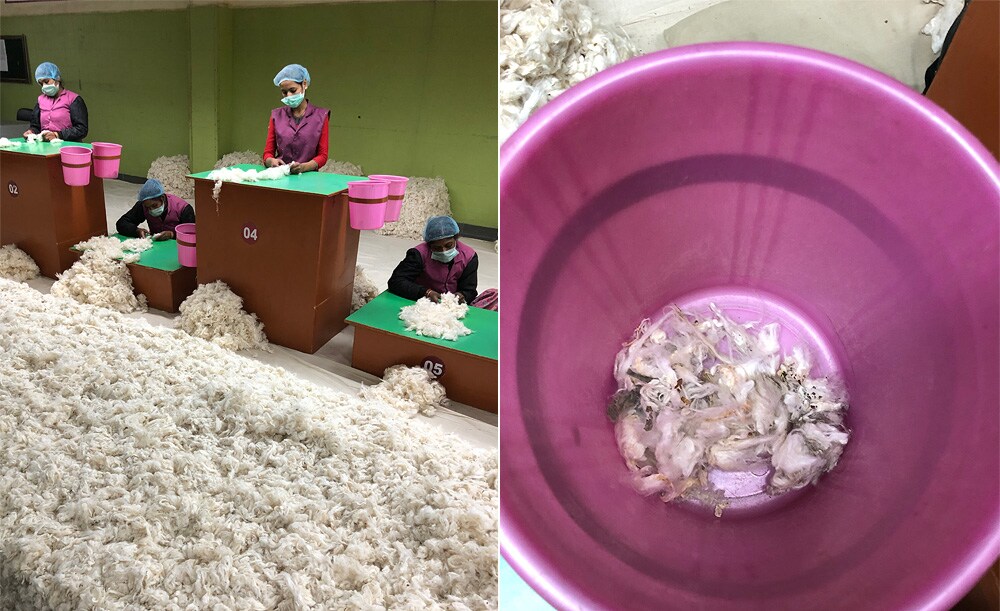 綿を収穫後、また工場でもゴミを取り除く作業を行っている。