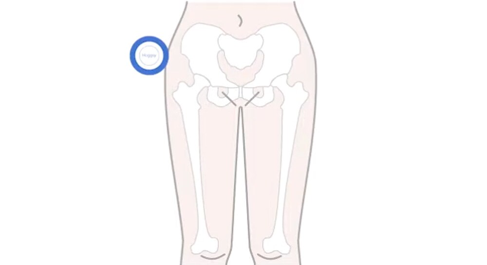 ボールを当てる位置：骨盤の骨の真後ろ