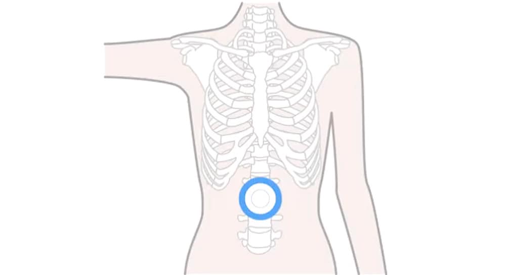 肋骨は 折れやすいため、肋骨の上には絶対にボールを置かないこと。