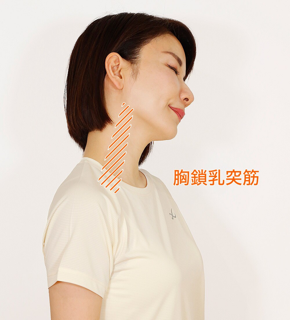頭を左側に傾けると浮き出てくる筋、胸鎖乳突筋(きょうさにゅうとつきん)を確認する(斜線の位置)。
