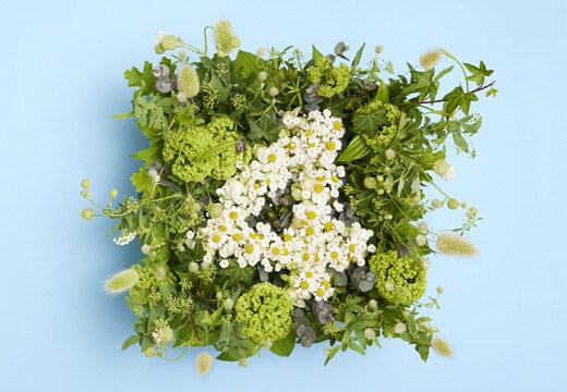 Monthly Flower Calendar　今月のフラワーカレンダー