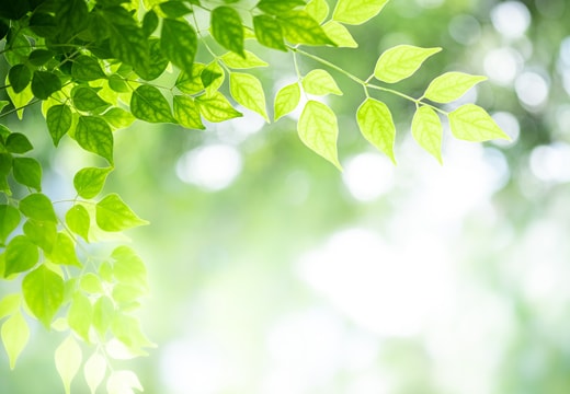 気温、気圧、湿度…。5月はおとな世代に「春の嵐」が吹き荒れる!?