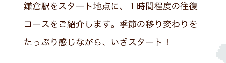 鎌倉駅をスタート地点に、１時間程度の往復コースをご紹介します。季節の移り変わりをたっぷり感じながら、いざスタート！