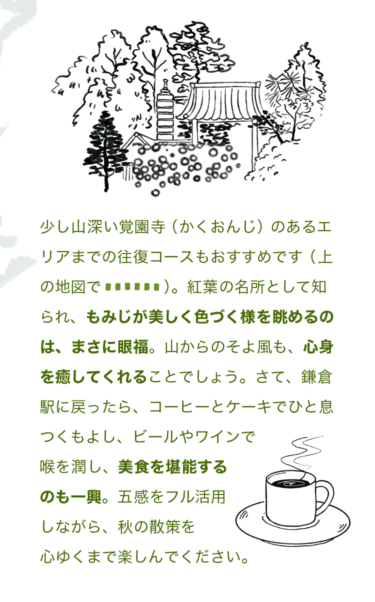 少し山深い覚園寺（かくおんじ）のあるエリアまでの往復コースもおすすめです。紅葉の名所として知られ、もみじが美しく色づく様を眺めるのは、まさに眼福。山からのそよ風も、心身を癒してくれることでしょう。さて、鎌倉駅に戻ったら、コーヒーとケーキでひと息つくもよし、ビールやワインで喉を潤し、美食を堪能するのも一興。五感をフル活用しながら、秋の散策を心ゆくまで楽しんでください。