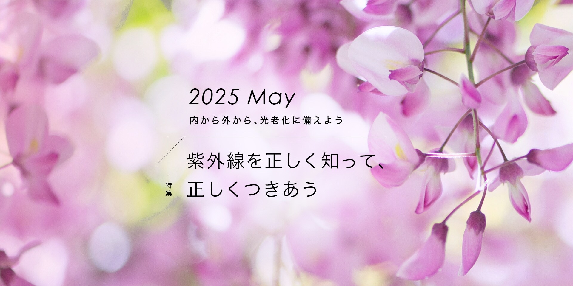 2025年5月 内から外から、光老化に備えよう 【特集】紫外線を正しく知って、正しくつきあう　おとなボディブック