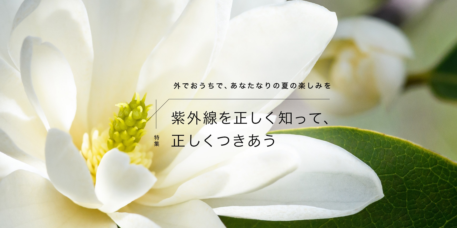 外でおうちで、あなたなりの夏の楽しみを 【特集】紫外線を正しく知って、正しくつきあう　おとなボディブック