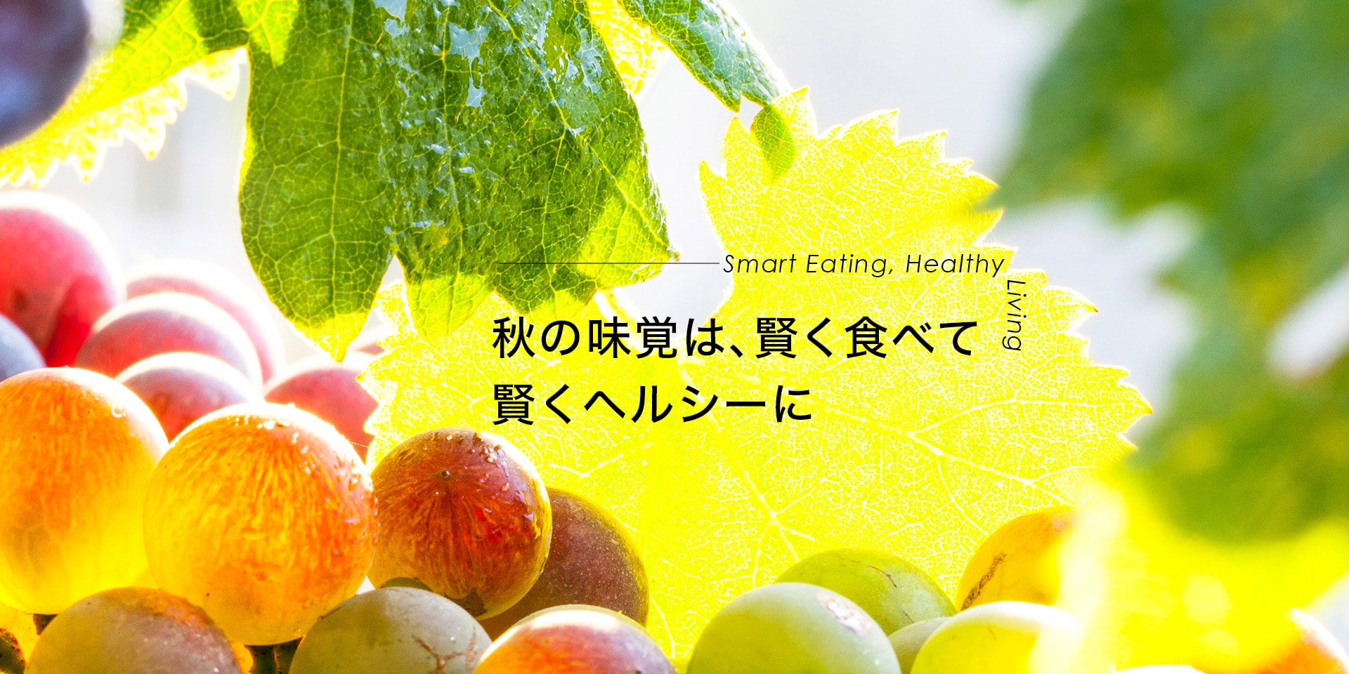 秋の味覚は、賢く食べて　賢くヘルシーに　Smart eating, healthy living　おとなボディブック
