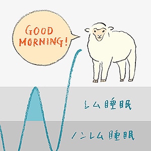 理想の睡眠とは？