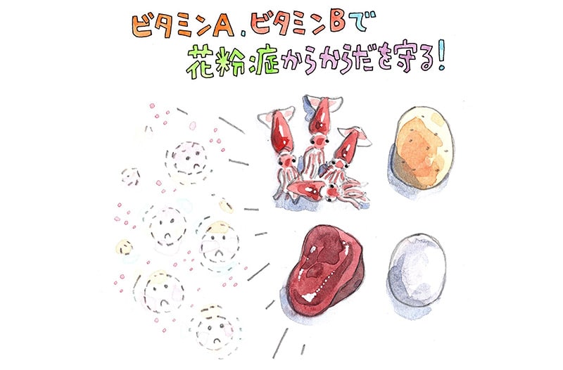 花粉症対策に、粘膜を強化する栄養素に注目！