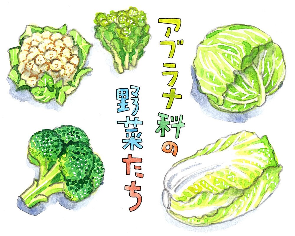 春に向けてデトックス大作成! 一番に取り入れたいアブラナ科の野菜