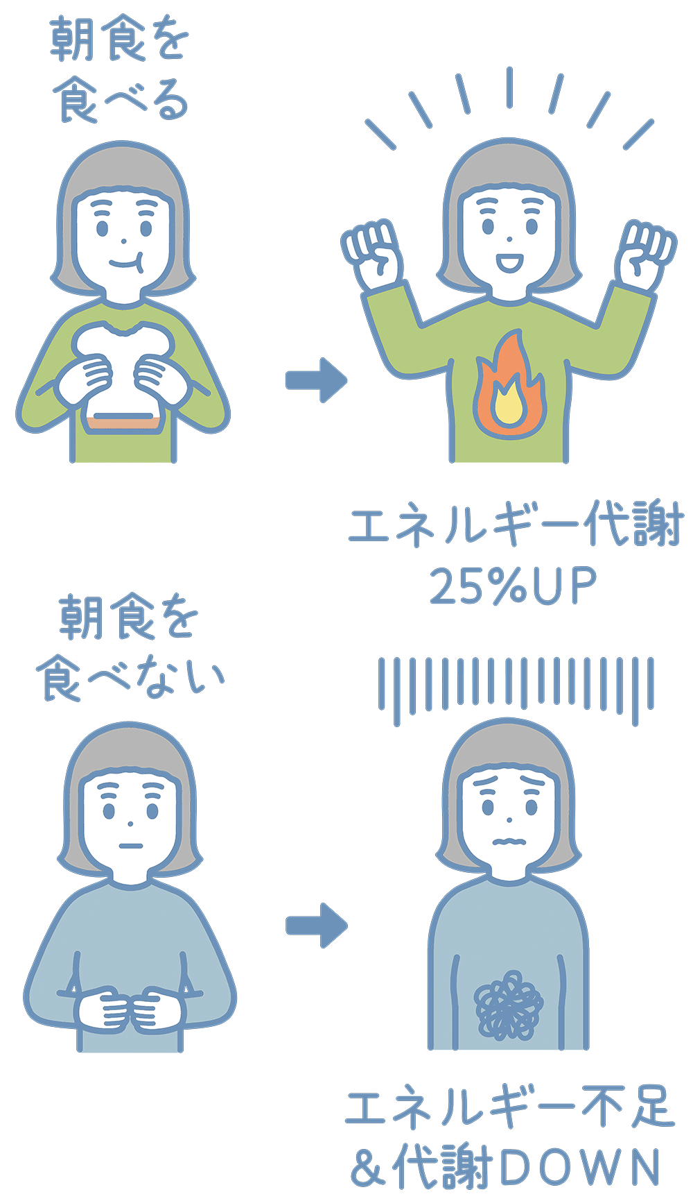 朝食を食べた人と食べない人のエネルギー代謝