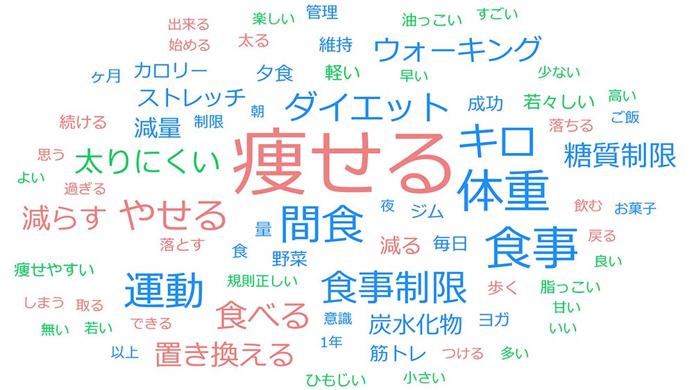 「成功したダイエット」アンケート回答のワードクラウド