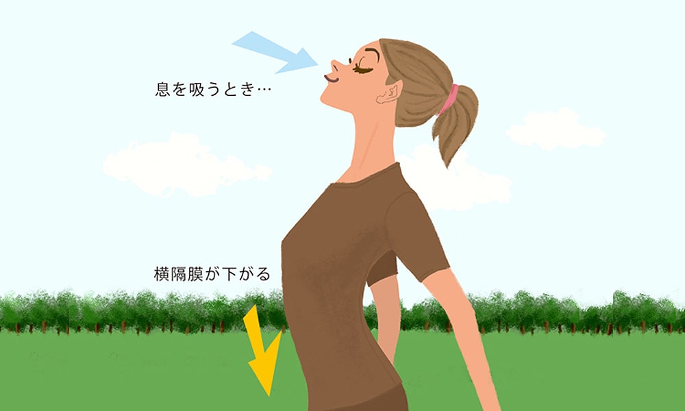 呼吸活動の7割を担う筋肉の正体は?